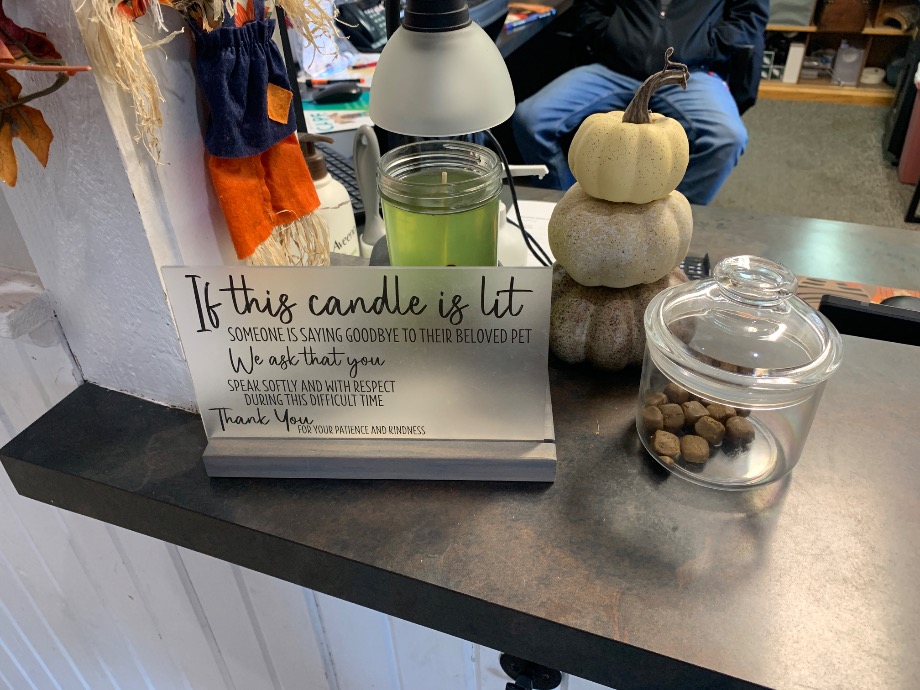 Deep Roots Animal Clinic Pet Services Texas 