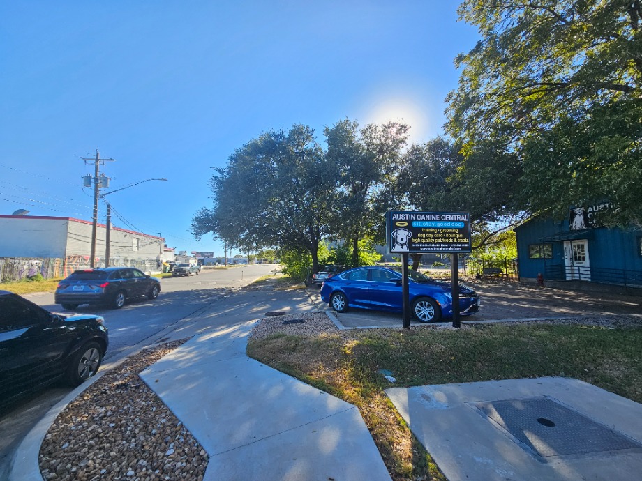 Austin Canine Central Pet Services Texas 