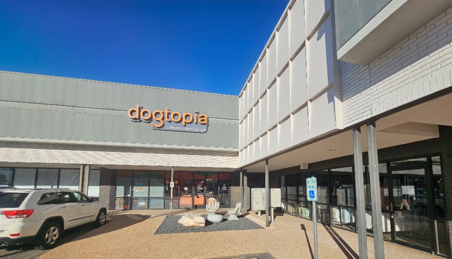 Dogtopia Pet Services 