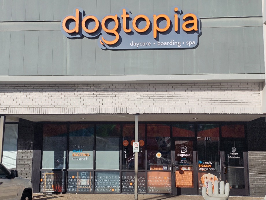 Dogtopia Pet Services 
