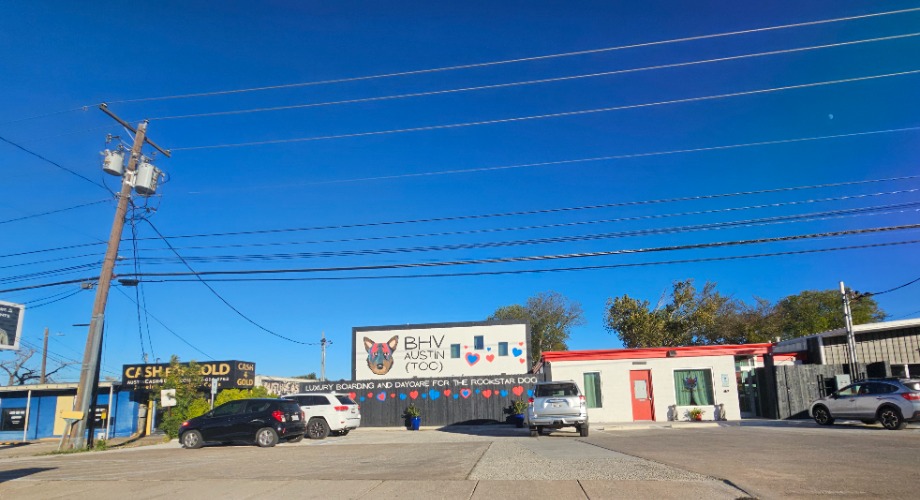 BVH Austin Too Pet Services 