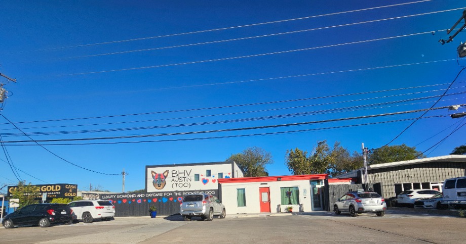 BVH Austin Too Pet Services 