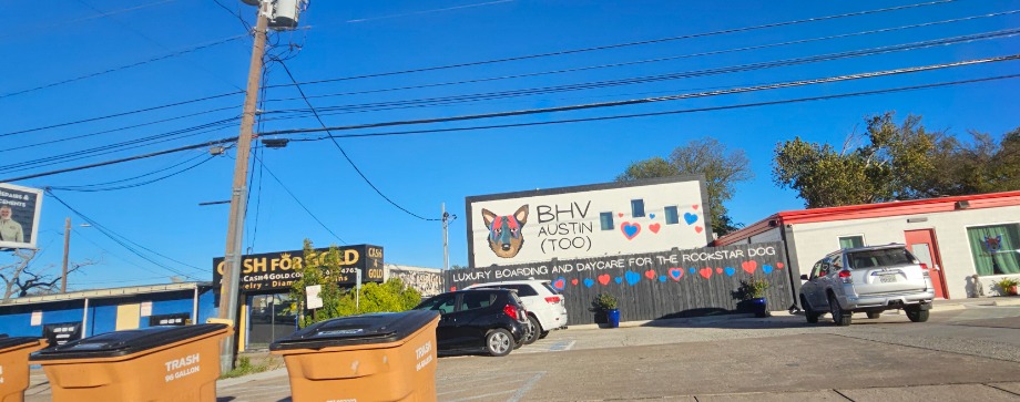 BVH Austin Too Pet Services 