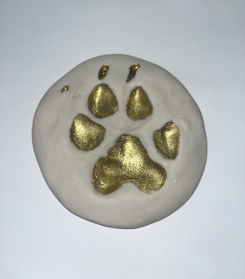 pet memorial paw print